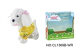OBL708977 - 9 "white teddy dog