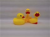 OBL716938 - 大黄鸭