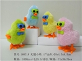 OBL720116 - Wear glasses wingless chickens