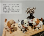 OBL720124 - Spotted puppy