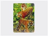 OBL721409 - Educational puzzles