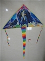 OBL729147 - 1.4 meters color printing batman triangle kite (wiring)