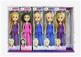 OBL733804 - 7 "Sophia 12 pack