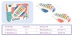 OBL740751 - 飞机敲琴(配一锤) (图片色)
