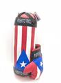 OBL740834 - Puerto Rico flag (boxing)