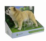 OBL743577 - 食肉牛龙