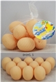 OBL748339 - 鸡蛋