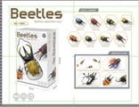 OBL759177 - Universal flash beetle (conventional)