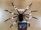 OBL765101 - 50 inch acoustic tarantula black and white