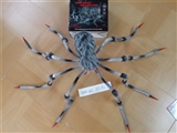 OBL765105 - 50 inch acoustic gray spiders