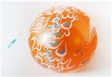 OBL767757 - 9 inches peacock the double chromosphere