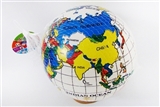 OBL767773 - 9 inches map of the world