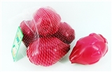 OBL768088 - 火龙果5PCS