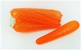 OBL768093 - Carrot 6 PCS