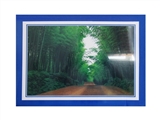 OBL770679 - 1000PCS 拼图
