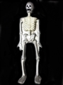 OBL770761 - 玩具吹瓶大骨架