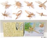 OBL805088 - 木制3D拼装昆虫