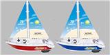 OBL808209 - Remote control ship (not package)