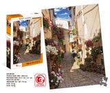 OBL821424 - 500片拼图