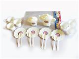 OBL839516 - 茶具