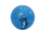 OBL868409 - 8 inch ball