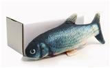 OBL875148 - ELECTRIC DIVING FISH
