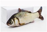 OBL875152 - ELECTRIC DIVING FISH