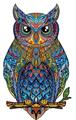 OBL877898 - OWL