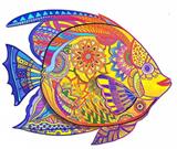 OBL877906 - FISH