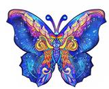 OBL877908 - BUTTERFLY