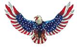 OBL877938 - EAGLE