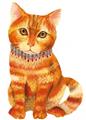 OBL878004 - CAT