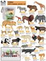 OBL902770 - Animaltoys