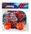OBL922194 - Basketball board / basketball