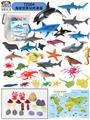 OBL934943 - 50件套海洋动物大集合桶装