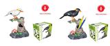 OBL938658 - Myna 八哥