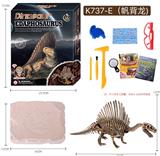 OBL939218 - （帆背龙）动感经典款恐龙骨架考古