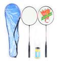 OBL941670 - 羽毛球拍+2球