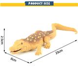 OBL949195 - 钝吻古鳄