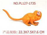 OBL949503 - 金狮面狨猴
