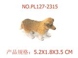 OBL949509 - 幼长毛歌利犬