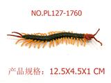 OBL949531 - 虎斑巨蜈蚣