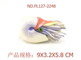 OBL949544 - 鹦鹉螺