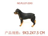 OBL949585 - 罗威纳犬
