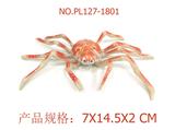 OBL949636 - 蜘蛛蟹