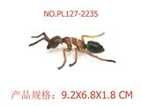 OBL949790 - 棕色蚂蚁