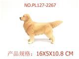 OBL949868 - 金毛犬