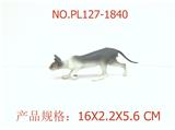 OBL949901 - 无毛猫