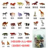 OBL952019 - 恐龙收纳盒