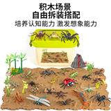 OBL952021 - 昆虫收纳盒